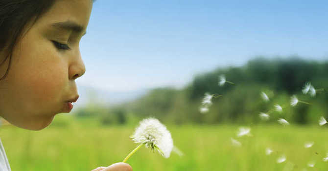 Acupuncture Can Relieve Allergies image